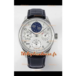 IWC Montre Portugaise Perpétuelle en acier inoxydable Réplique Suisse REF. IW503406