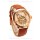 Glashutte Panaomatic Regulator Tourbillon Montre Replique