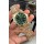 Vacheron Constantin Super Clone Overseas Réplique Montre Suisse 1:1 avec Cadran Acier Rose Vert