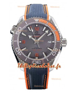 Omega Seamaster Planet Ocean 600M 43.50 MM Boîtier Titane Réplique miroir 1:1